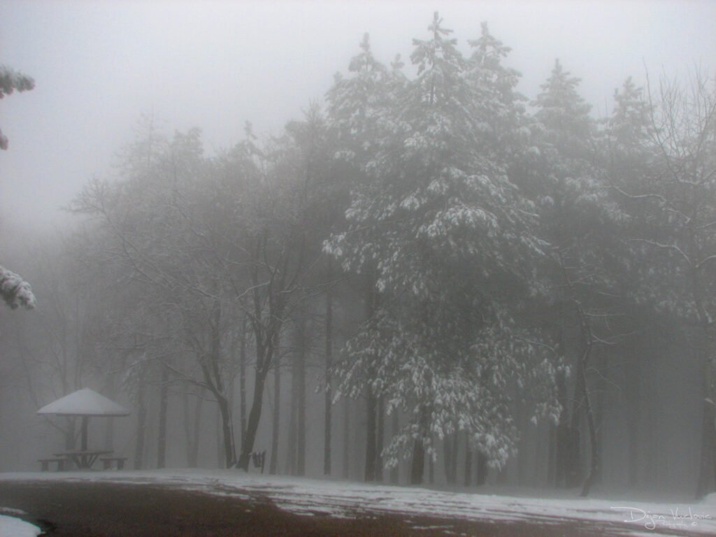 Zima Bukulja