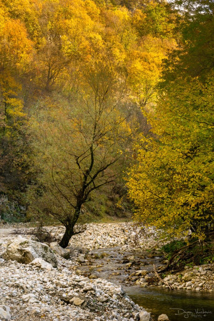 Tražeći Vinatovaču Kanjon Resave