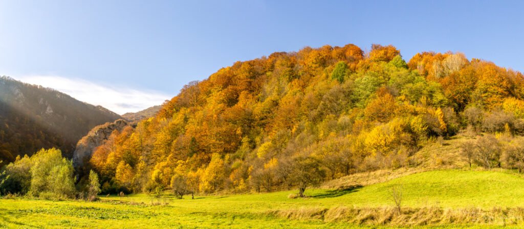 Tražeći Vinatovaču Kanjon Resave