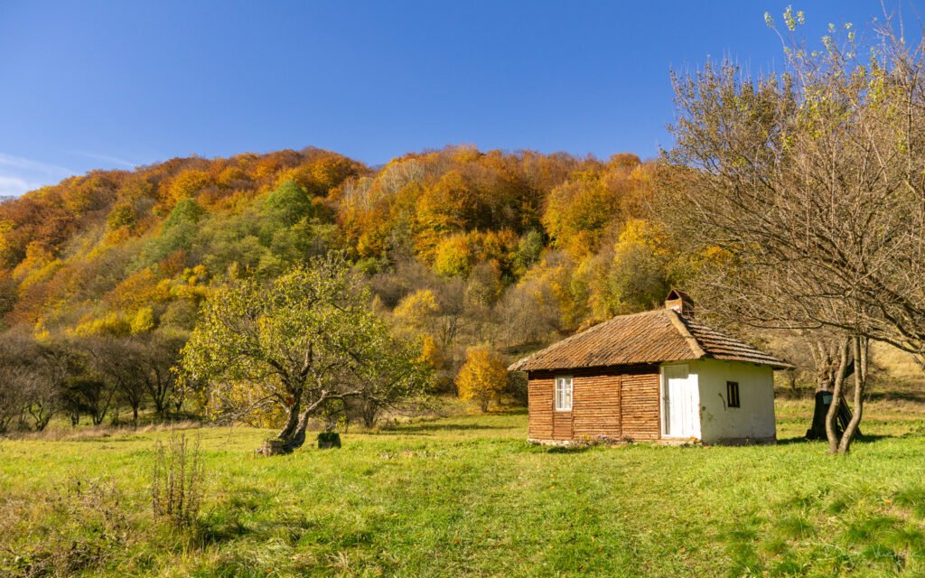 Tražeći Vinatovaču Kanjon Resave