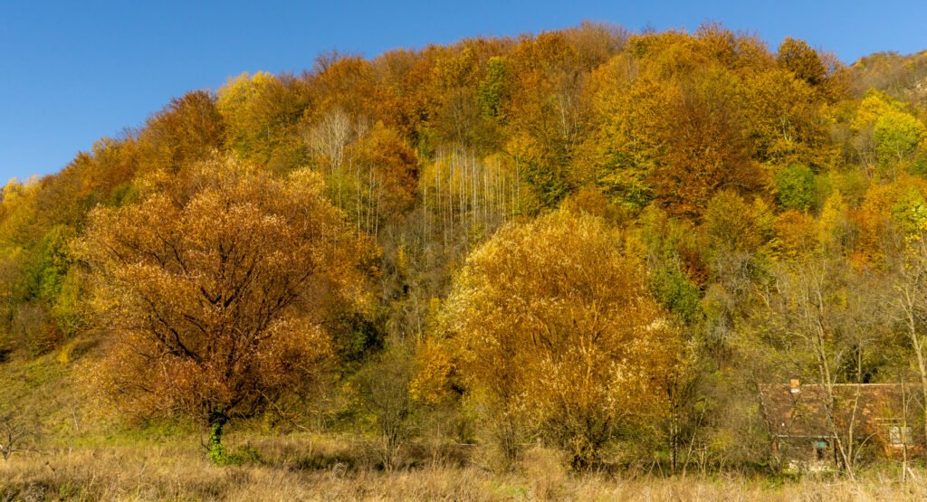 Tražeći Vinatovaču Kanjon Resave