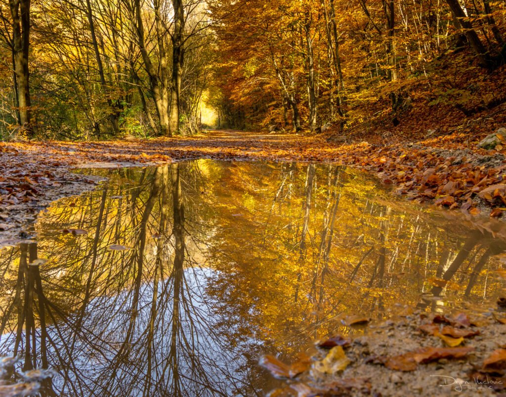 Tražeći Vinatovaču Kanjon Resave