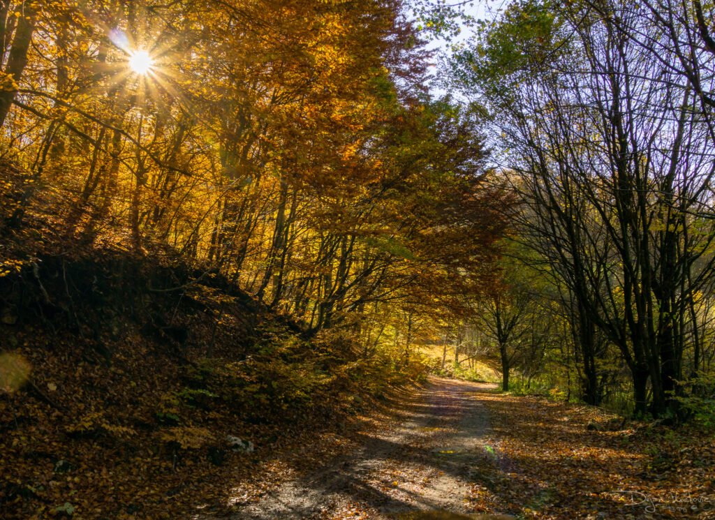 Tražeći Vinatovaču Kanjon Resave