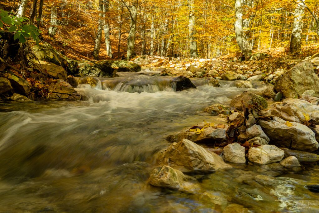 Tražeći Vinatovaču Kanjon Resave