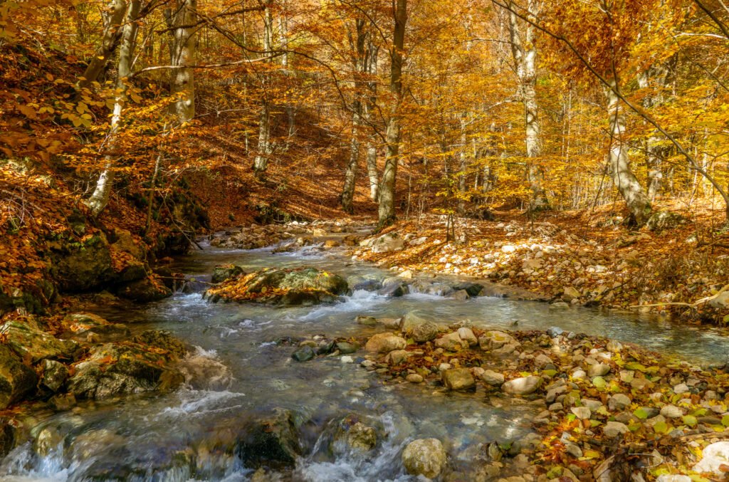 Tražeći Vinatovaču Kanjon Resave