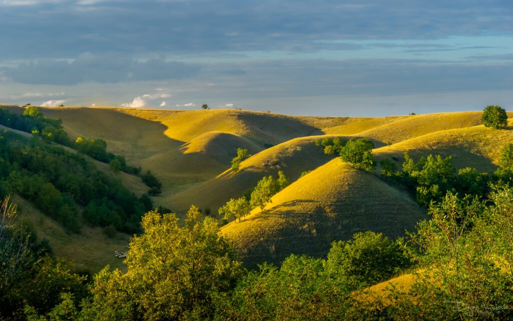 Zagajička Brda