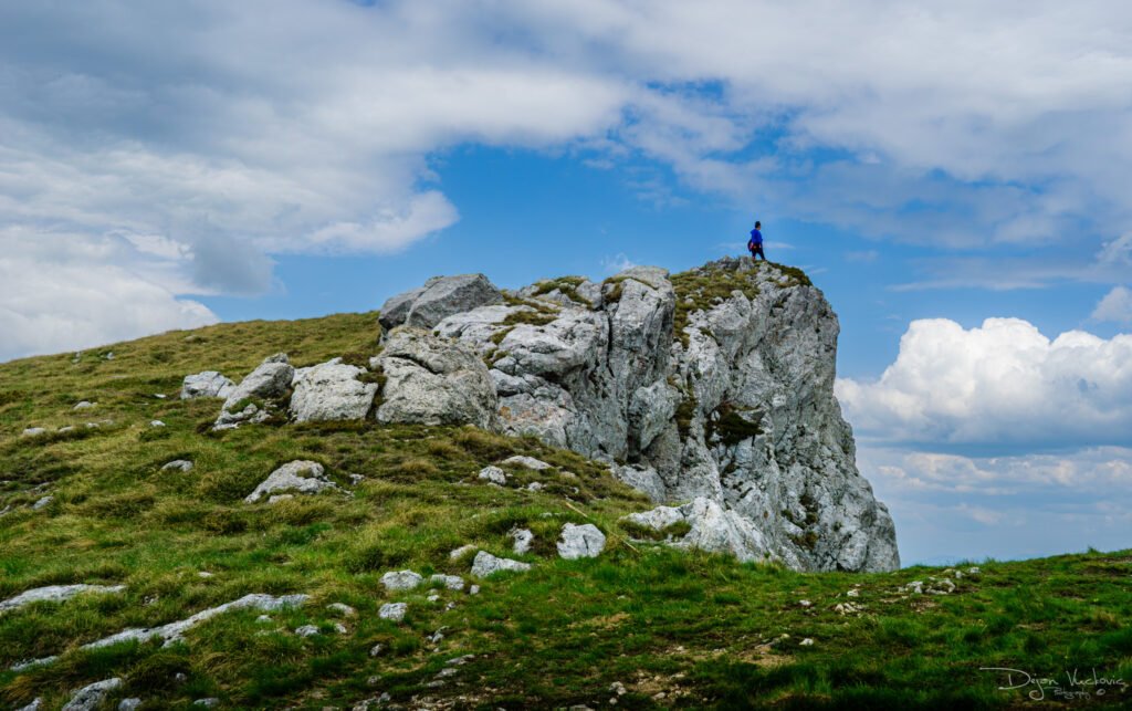 Trem, Suva planina